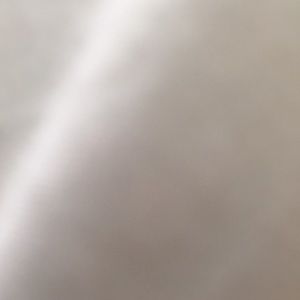 Meet your Posher, Jerrica